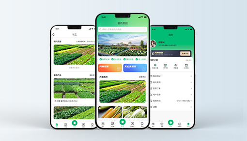我的(de)菜園